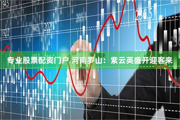专业股票配资门户 河南罗山：紫云英盛开迎客来