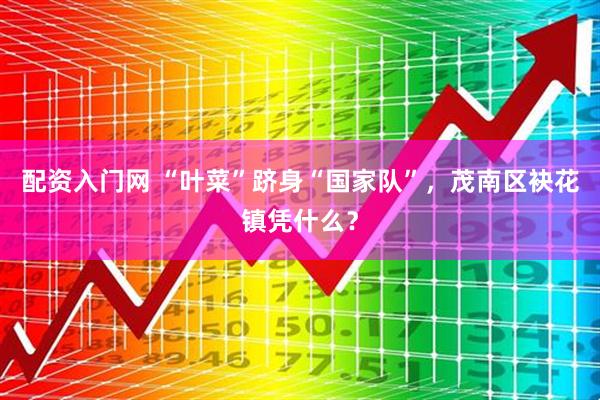 配资入门网 “叶菜”跻身“国家队”，茂南区袂花镇凭什么？